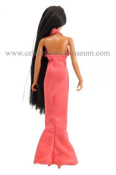 Cher (1976) – Celebrity Doll Museum