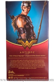 Robin Wright doll box back